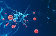 Ilustrasi. Foto: Internet