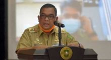Wakil Gubernur Riau, Edy Natar Nasution