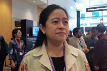 Ketua DPR RI Puan Maharani. Foto: int 