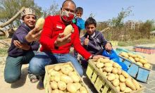 Relawan Indonesia Borong Kentang Palestina yang Tak Laku, Netizen: Andai Bisa Diekspor (foto/int) 