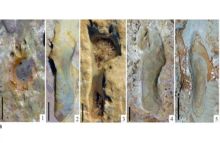 Jejak kaki  manusia Neanderthal. Foto: hitekno.com