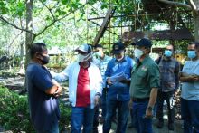 Saat mengunjungi taman binatang selatbaru