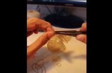 Proses pembuatan anting dari keripik kentang. Foto: Tik Tok