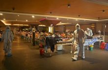 Ilustrasi penyebaran virus corona di India. Foto: Internet