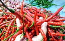 Jelang Lebaran 2021, Harga Cabai Merah di Pekanbaru Naik Dijual Rp40 Ribu Per Kilogram (foto/int) 