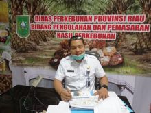 Kabid Pengolahan dan Pemasaran Dinas Perkebunan (Disbun) Riau, Defris Hatmaja