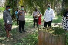 Bupati Alfedri Tinjau Perbatasan Siak-Kampar di Kampung Rantau Bertuah (foto/lin) 