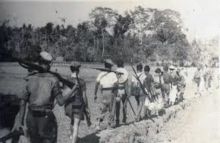 Ilustrasi. Foto: Internet