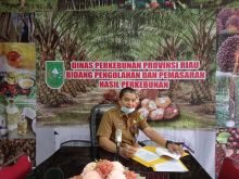 Kabid Pengolahan dan Pemasaran Dinas Perkebunan (Disbun) Riau, Defris Hatmaja