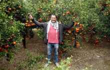 Relawan Indonesia Bagikan Momen di Kebun Jeruk Gaza yang Subur Sampai Jatuh-jatuh di Tanah (foto/int) 