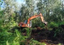 Pengerjaan kawasan terlantar oleh Koptan Hutan Pebadaran