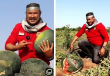 Buktikan Semangka Gaza Merah dan Manis, Relawan Bang Onim Lakukan Ini (foto/int) 