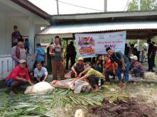 Idul Adha 1442 Hijriah, Global Qurban ACT Riau Targetkan 331 Hewan Qurban (foto/int) 