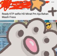 Astaga, Ternyata Banyak Foto Selfie KTP Dijual Bebas di Medsos, Netizen Curigai Untuk Ini (foto/int) 