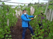 Ketua DPD KNPI kabupaten Bengkalis