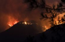 Ilustrasi. Foto: Internet