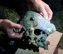 Tengkorak kepala manusia