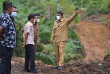 Bupati Andi Putra Meninjau Jalan Pulau Kedundung, Ini Harapannya (foto/zar)