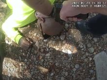 Sumber foto: Crime Online