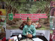 Kabid Pengolahan dan Pemasaran Dinas Perkebunan (Disbun) Riau, Defris Hatmaja