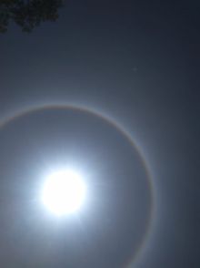 Matahari cincin di pulau Bengkalis