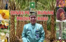 Kabid Pengolahan dan Pemasaran Dinas Perkebunan (Disbun) Riau, Defris Hatmaja