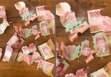 Viral Ratusan Ribu Hancur Dimakan Rayap, Netizen Langsung Sedih: Turut Berduka (foto/int)