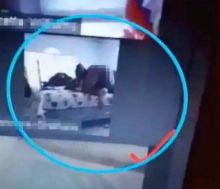 Seorang Guru Harus Malu Karena Ketahuan Berhubungan Seksual di Tengah Rapat Zoom (foto/int)