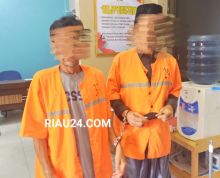 Dua tersangka pelaku illegal logging