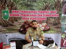 Kabid Pengolahan dan Pemasaran Dinas Perkebunan (Disbun) Riau, Defris Hatmaja