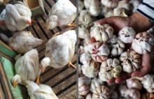 Harga Cabai Merah Rp30 Ribu dan Bawang Putih Rp25 Ribu di Pekanbaru (foto/int)