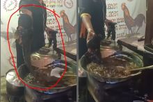 Viral Lele Sebesar Lengan Digoreng, Netizen: Malah Serem (foto/int)