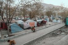 Sumber foto: Jake Simkin