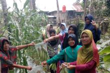  Kegiatan P2L Kelompok Tani Serumpun Padi bersama DPKP