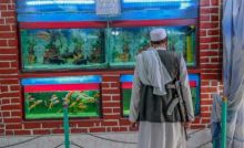 Salah satu pasukan Taliban terlihat berada di kebun binatang. Sumber: merdeka.com