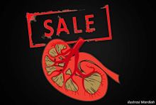 Nasional | Republika Online - Republika