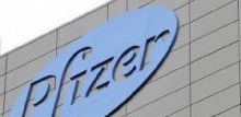 Logo Pfizer. Sumber: Beritasumut.coms