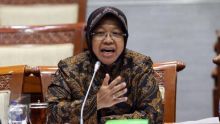 Menteri Sosial Tri Rismaharini