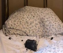 Foto : IndiaTimes.com