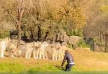 Sumber foto: AsiaWire