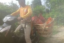 Kegiatan RHL Kelompok Tani Sungai Manau Berkarya