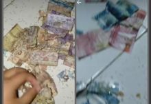 Viral Video Duit Celengan yang Rusak Parah Dimakan Rayap, Tiktoker: Padahal Mau Beli Laptop (foto/int)