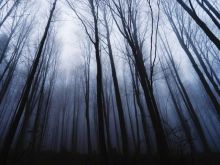 ilustrasi. Sumber: Tagar.ID