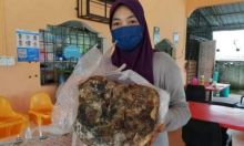Lagi Asyik Mancing, Wanita Ini Dapat Rezeki Nomplok Jumpa Ambergris Muntahan Paus Senilai Rp 3 Milyar (foto/int)