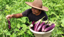 Foto : Made Yogantara adalah salah satu anak muda yang menemukan cara kreatif untuk memenuhi kebutuhan hidup setelah runtuhnya pariwisata di Bali [Courtesy of Risyiana Muthia]
