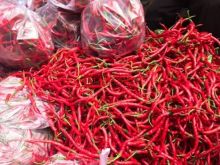 Pantauan Disperindag Pekanbaru Harga Ayam Rp26 Ribu dan Cabai Merah Rp40 Ribu Per Kilogram (foto/int)