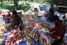 Foto : IndiaTimes.com