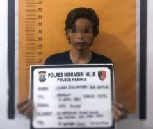 LZ, Pelaku penggelapan