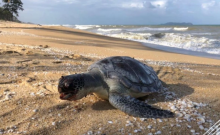 Foto : WorldofBuzz.com