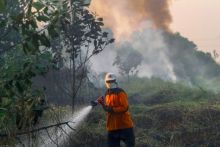 Ilustrasi Karhutla (Foto:Gatra.com)